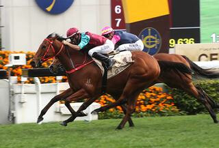 Ready to Run graduate Beat The Clock defends his title in G1 Centenary Sprint Cup. Photo: HKJC